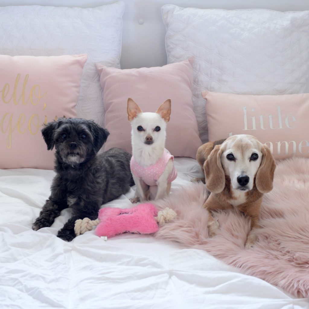 canadian fashionista